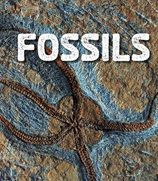 portada Fossils (Fact Finders: Rocks) 