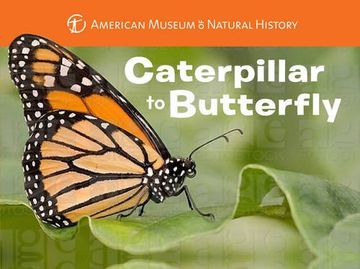 portada Caterpillar to Butterfly (American Museum of Natural His)