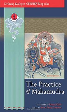 portada The Practice of Mahamudra: The Teachings of his Holiness, the Drikung Kyabgon, Chetsang Rinpoche 
