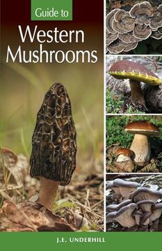portada Guide to Western Mushrooms (en Inglés)