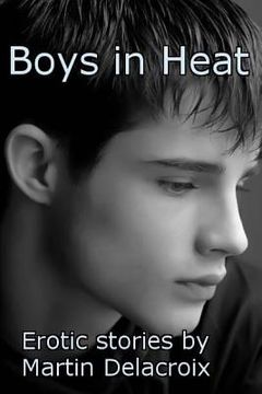 portada Boys in Heat: Erotic stories by Martin Delacroix (en Inglés)