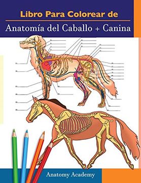 portada Livro Para Pintar de Anatomia do Cavalo + Canina: Compilação 2 em 1 | Livreto a Cores de Auto-Avaliação Muito Detalhado Para Estudar Anatomia Equina e. Amantes de los Animales y Adultos (en Portugués)
