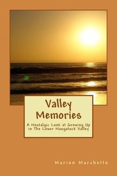 portada Valley Memories: A Nostalgic Look at Growing Up in The Lower Naugatuck Valley (in English)