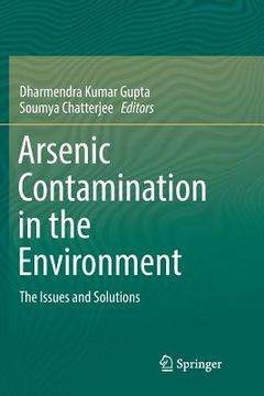 portada Arsenic Contamination in the Environment: The Issues and Solutions (in English)