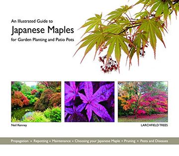 portada An Illustrated Guide to Japanese Maples for Garden Planting and Patio Pots (en Inglés)