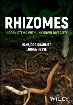 portada Rhizomes: Hidden Stems with Unknown Diversity (en Inglés)