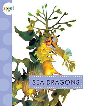 portada Sea Dragons (en Inglés)