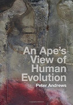 portada An Ape's View of Human Evolution (en Inglés)