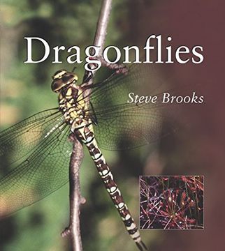 portada Dragonflies (en Inglés)