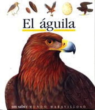 portada El Aguila