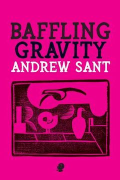 portada Baffling Gravity (in English)
