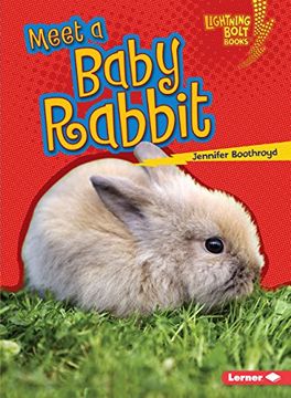 portada Meet a Baby Rabbit (en Inglés)