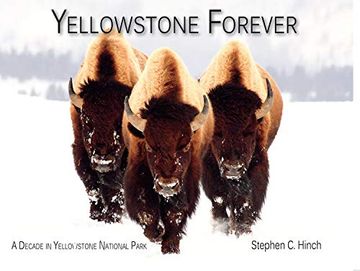 portada Yellowstone Forever: A Decade in Yellowstone National Park (en Inglés)