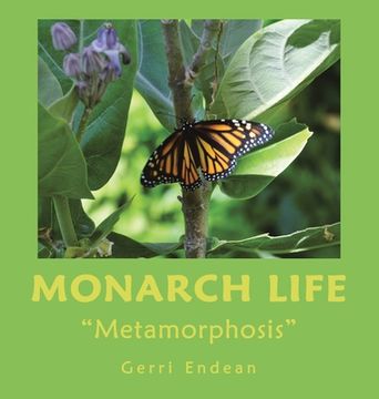 portada Monarch Life: "Metamorphosis"