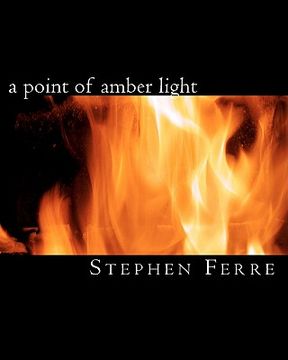 portada a point of amber light (in English)