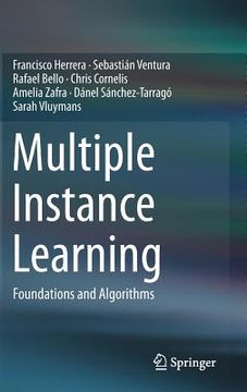 portada Multiple Instance Learning: Foundations and Algorithms (in English)