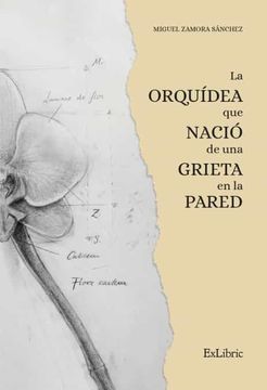 portada La Orquídea que Nació de una Grieta en la Pared