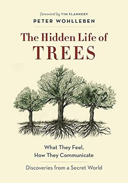 portada The Hidden Life of Trees: What They Feel, how They Communicate--Discoveries From a Secret World (libro en Eng)