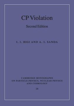 portada Cp Violation (in English)