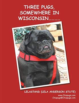 portada Three Pugs, Somewhere in Wisconsin. (en Inglés)