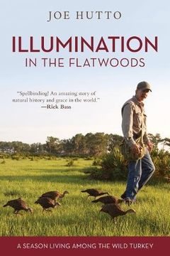 portada Illumination in the Flatwoods: A Season Living Among the Wild Turkey (en Inglés)