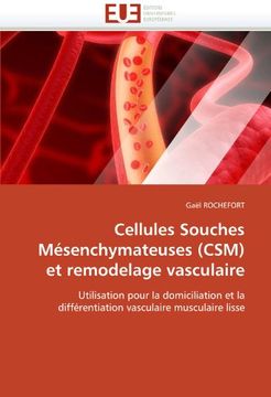 portada Cellules Souches Mesenchymateuses (CSM) Et Remodelage Vasculaire