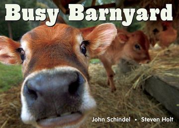 portada Busy Barnyard (Busy Books) (in English)