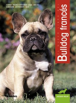 portada Bulldog Francés