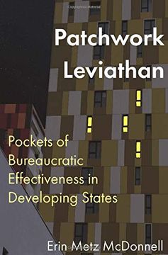 portada Patchwork Leviathan: Pockets of Bureaucratic Effectiveness in Developing States (en Inglés)