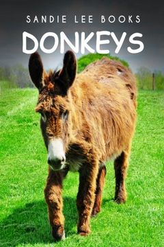 portada Donkeys - Sandie Lee Books