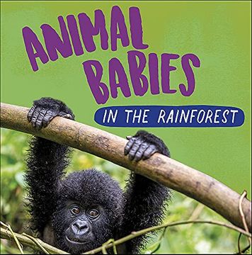 portada Animal Babies: In the Rainforest (Paperback)