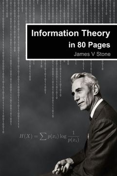 portada Information Theory in 80 Pages (en Inglés)