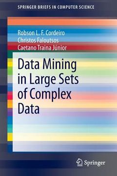 portada data mining in large sets of complex data (en Inglés)