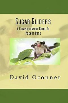 portada Sugar Gliders