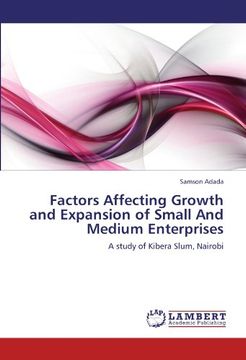 portada Factors Affecting Growth and Expansion of Small And Medium Enterprises: A study of Kibera Slum, Nairobi