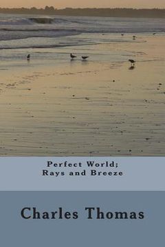 portada Perfect World: Rays and Breeze (en Inglés)
