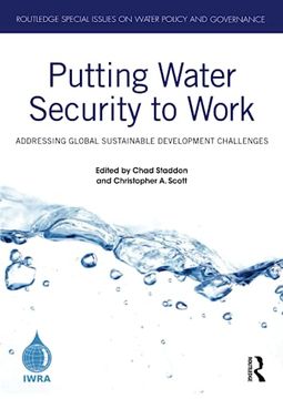 portada Putting Water Security to Work (Routledge Special Issues on Water Policy and Governance) 