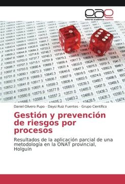 portada Gestión y prevención de riesgos por procesos: Resultados de la aplicación parcial de una metodología en la ONAT provincial, Holguín (Spanish Edition)