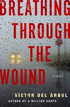 portada Breathing Through the Wound: A Novel (in English)