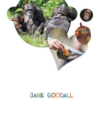 portada 18).jane goodall 4 aÑos (proyectos ¿lo ves? (in Spanish)