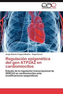 portada regulaci n epigen tica del gen atp2a2 en cardiomiocitos