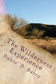 portada The Wilderness Experience: Exploring the Place Between Promise and Manifestation (en Inglés)