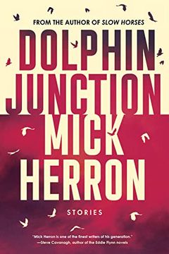 portada Dolphin Junction: Stories (in English)