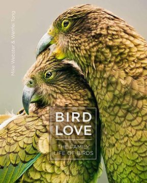 portada Bird Love: The Family Life of Birds (en Inglés)