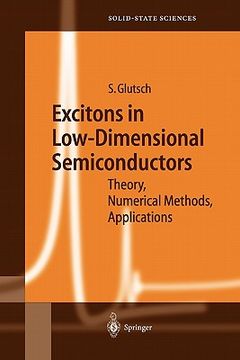 portada excitons in low-dimensional semiconductors: theory, numerical methods, applications (en Inglés)