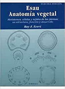 portada Esau. Anatomia Vegetal 3 (in Spanish)