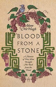 portada Blood From a Stone: A Memoir of how Wine Brought me Back From the Dead (en Inglés)