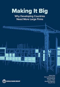 portada Making it Big: Why Developing Countries Need More Large Firms