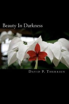 portada beauty in darkness (en Inglés)