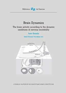 portada Brain Dynamics the Brain Activity According to the Dynamic (in Spanish)